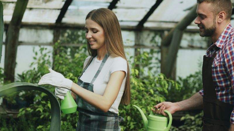Rasenpflege nach dem Winter: So wird die Fläche wieder dicht und gesund