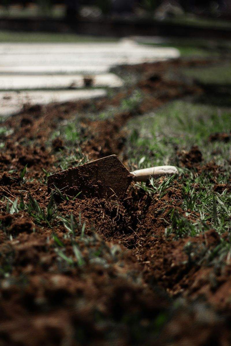 Alpenblatt Gartenpflege GmbH 11