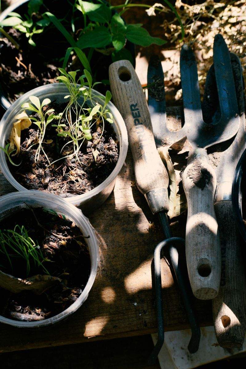 Alpenblatt Gartenpflege GmbH 15