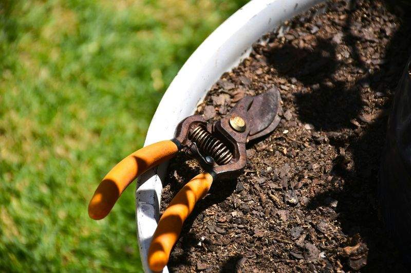 Alpenblatt Gartenpflege GmbH 3